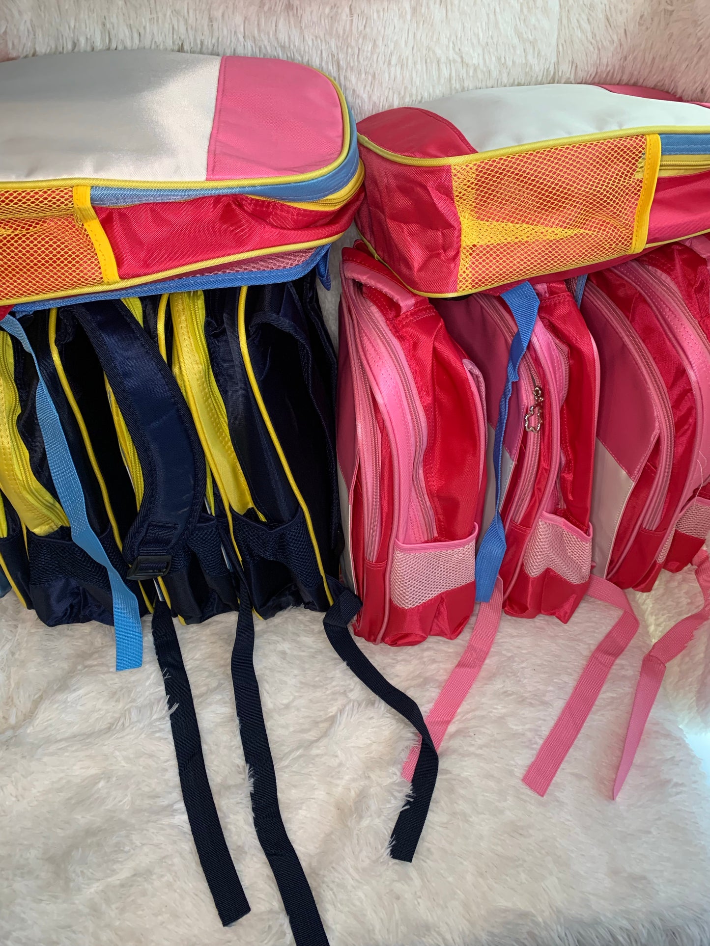 Mystery Book Bag
